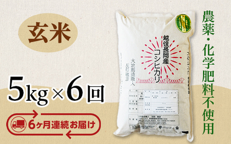 E1-G056B【6ヶ月連続お届け】新潟県長岡産コシヒカリ玄米5kg