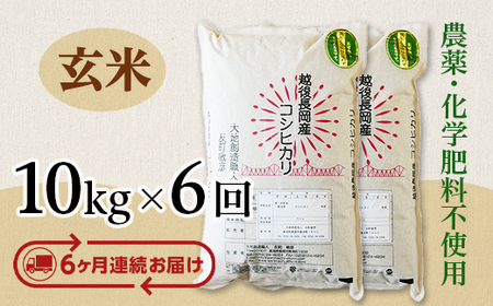 E1-G106B【6ヶ月連続お届け】新潟県長岡産コシヒカリ玄米10kg