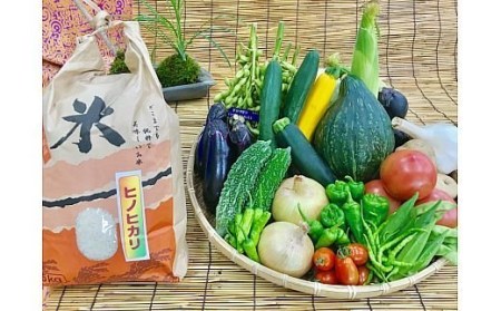 [野菜とお米5kgセット] 産地直送！新鮮とれたて旬の野菜＆ヒノヒカリ5kg [3248]