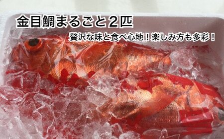 ≪土佐沖獲れ≫　高級魚『金目鯛』まるごと２匹（冷蔵）