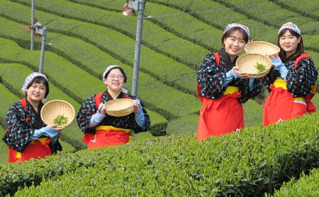 茶娘衣装撮影プラン 体験チケット 茶畑 小学生以下 茶娘衣装撮影プラン【小人1名】