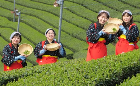 茶娘衣装撮影プラン 体験チケット 茶畑 自由撮影 茶娘衣装撮影プラン【大人ペア】