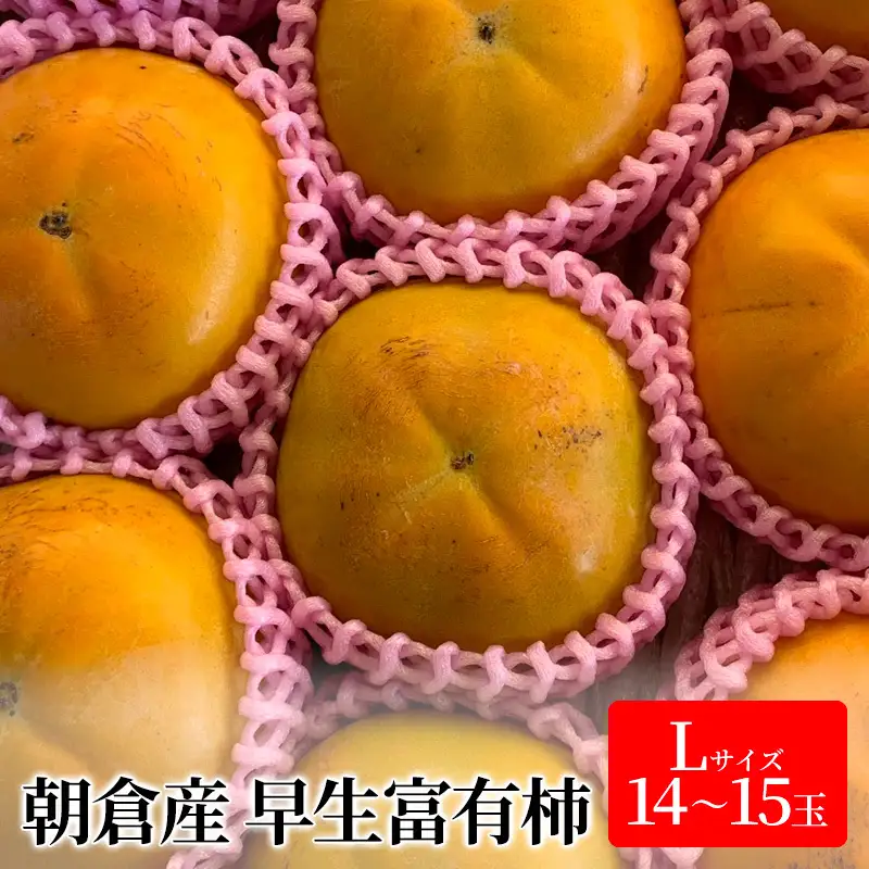 柿 富有柿 早生 Lサイズ 14～15玉入 かき カキ 柿