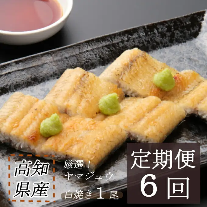 【6回定期便】手焼き 白焼きうなぎ1尾【国産 高知県産白焼きウナギ】