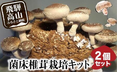 先行予約 菌床椎茸栽培キット 2個 きのこ | しいたけ  飛騨高山きのこの里 GK004