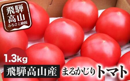 【数量限定】【2026年予約受付】旬の味をお届け！果肉が厚くてみずみずしい 飛騨高山産トマト 『麗月』1.3kg | とまと トマト 産地直送 野菜 飛騨高山 まるかじり農園　FW001VC01