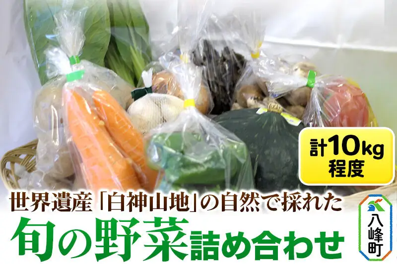 野菜 詰合せ 世界遺産「白神山地」の自然で採れた旬の野菜詰め合わせ 秋田県八峰町 おらほの館