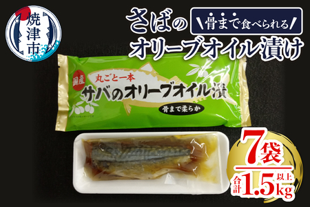 骨まで食べる焼津産さばのオリーブオイル漬け１本物 (a10-616)