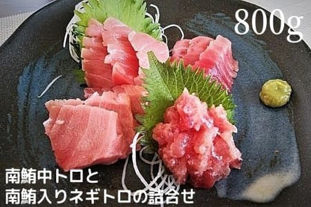 天然 南鮪 中トロ と ネギトロ の 詰合せ 約800g入 (a20-313)