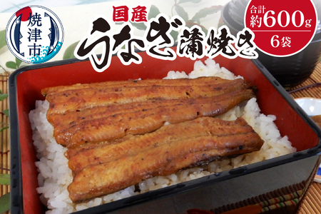 国産 うなぎ 蒲焼き 約100g×6袋 (a28-008)