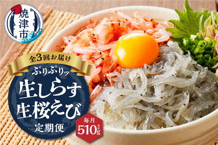 【定期便 3回】 焼津産生しらす(100g×3) 生桜えび(70g×3個) (a30-221)
