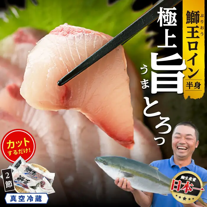 【先行予約】【切って盛るだけ】『旅サラダ』で紹介ぶりの王様「 鰤王 」 ロイン 2節 (約1.0kg～) 半身 産地直送 新鮮 旨味が抜群の 長島町 特産品 ブランド ぶり 鰤 ブリ 切り身 真空 冷蔵 刺身 ぶりしゃぶ しゃぶしゃぶ 魚 魚介 人気 ランキング 【JFA】jfa-7132