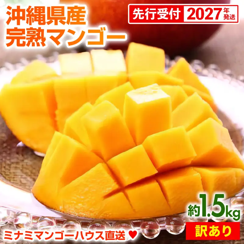 【先行受付】【2027年発送】ミナミマンゴーハウスの完熟アップルマンゴー 訳あり 約1.5kg - 家庭用 先行予約 沖縄県産 産地直送 南国フルーツ 旬の味覚 季節の果物 ご自宅用 訳アリ 沖縄マンゴー 沖縄県 八重瀬町