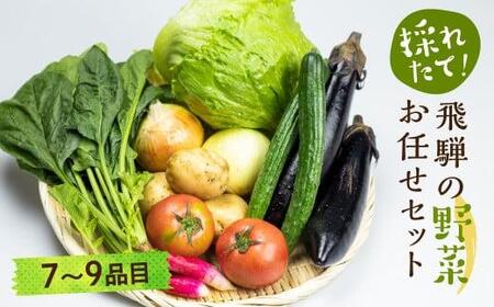 【令和8年産】（2026年6月中旬～10月下旬順次発送予定）飛騨の野菜お任せセット 7～9品目 | セット 野菜 夏野菜 秋野菜 やさい おまかせ お取り寄せ 新鮮 産地直送 飛騨産 夏 秋 サラダ 飛騨高山 あじかファミリー GN001-26
