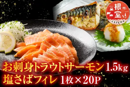 お刺身トラウトサーモン1.5kg、塩さばフィレ1枚×20P C-09021