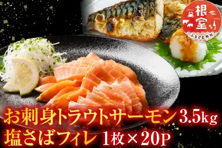 お刺身トラウトサーモン3.5kg、塩さばフィレ1枚×20Ｐ D-09020
