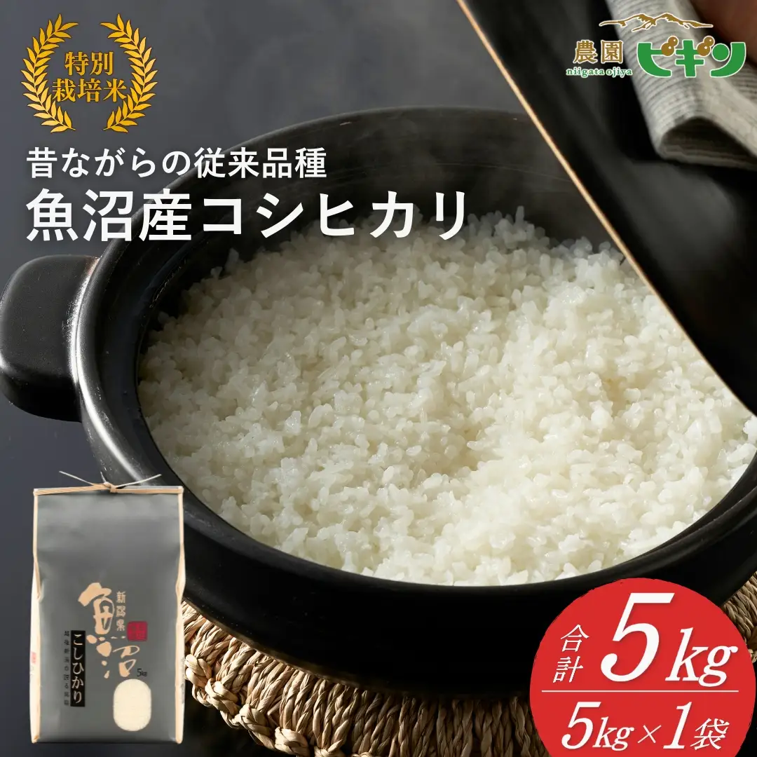 【令和8年産 先行予約】 昔ながらの魚沼産コシヒカリ 従来品種 精米 5kg 農園ビギン|おこめ 5キロ 特A評価 小千谷市 コシヒカリ