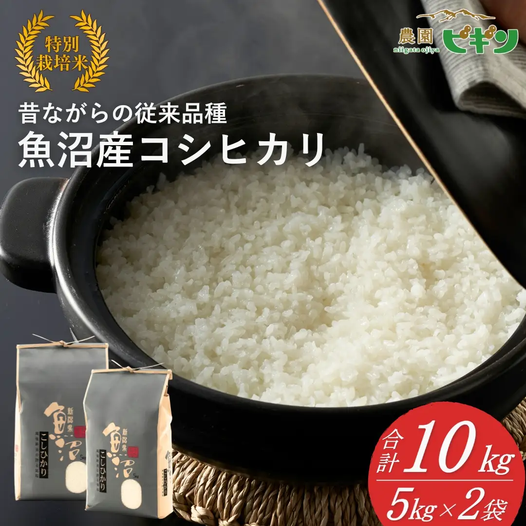 【令和8年産 先行予約】 昔ながらの魚沼産コシヒカリ 従来品種 精米 10kg（5キロ×2袋）農園ビギン|おこめ 特A評価 小千谷市 コシヒカリ