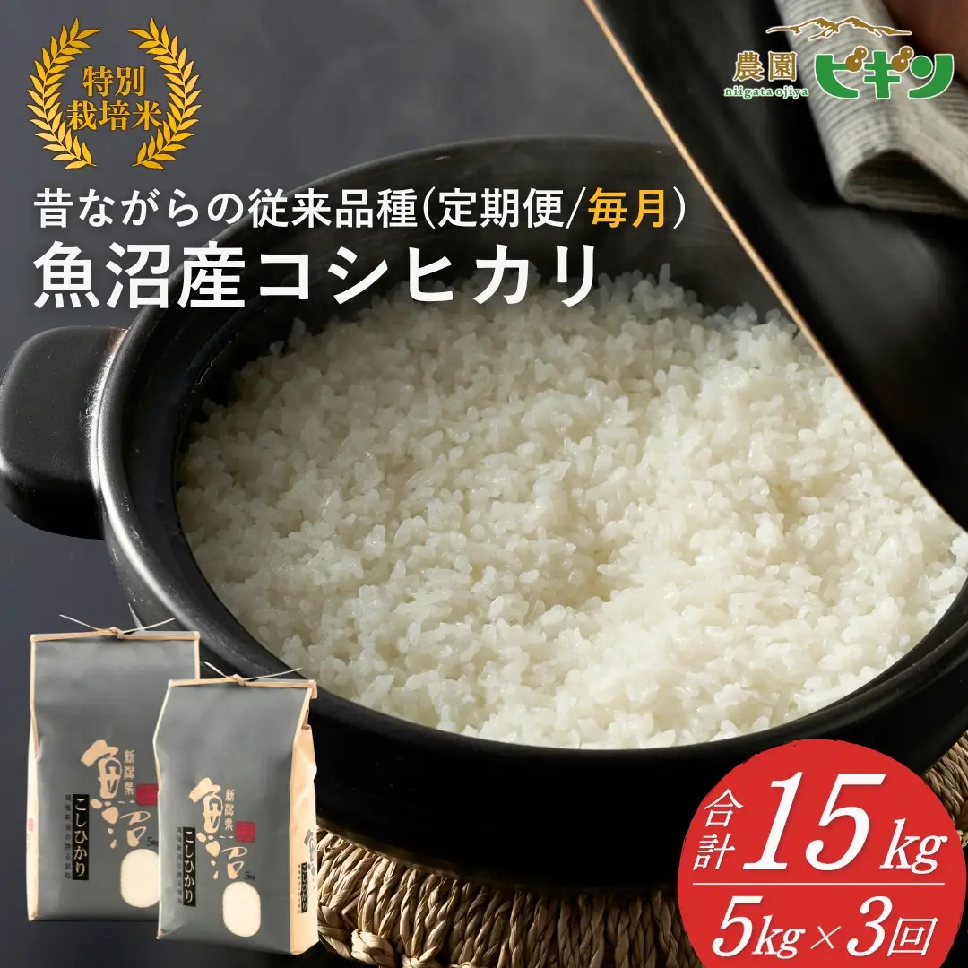 【令和8年産 先行予約】 昔ながらの魚沼産コシヒカリ 従来品種 定期便 15kg（5キロ×毎月全3回）農園ビギン|おこめ 特A評価 小千谷市 コシヒカリ