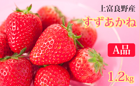 【令和8年産】先行予約 かみふらの産いちご【すずあかね】A品 300g×4セット 果物類 苺 イチゴ 