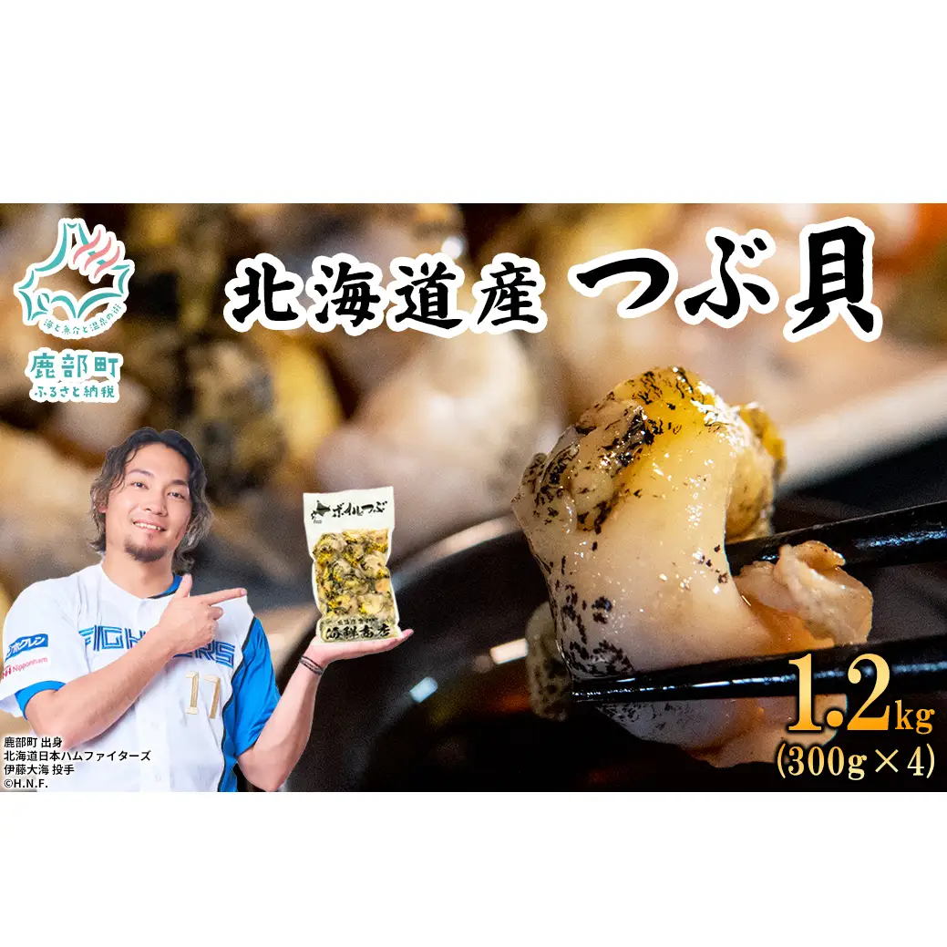 北海道鹿部町産 訳あり ”前浜ボイルつぶ ” 1.2kg（300g×4袋）つぶ貝 刺身