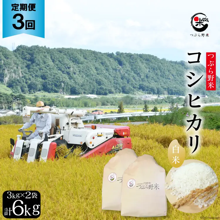 米 令和8年 3回 定期便 つぶら野米 コシヒカリ 白米 3kg×2袋×3回 総計18kg