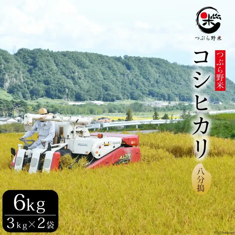 米 令和7年 つぶら野米 コシヒカリ 八分搗き 3kg×2袋 計6kg