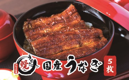 国産うなぎ 関西風蒲焼 大サイズ５枚(合計約750g)薬味付【太地グルメ市場】 【miw107】