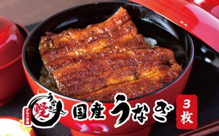 国産うなぎ 関西風蒲焼 大サイズ３枚(合計約450g)薬味付【串本グルメ市場】【miw106】
