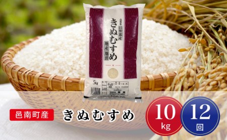 令和8年産【定期便12回】邑南町産きぬむすめ10kg（5kg×2）　