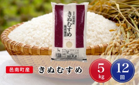 令和8年産【定期便12回】邑南町産きぬむすめ5kg