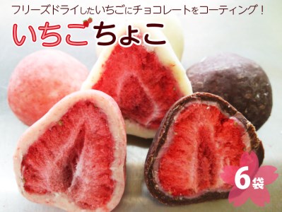 いちご ちょこ 6袋 ｜ 苺 イチゴ チョコ スイーツ ギフト 送料無料 ※着日指定不可◇