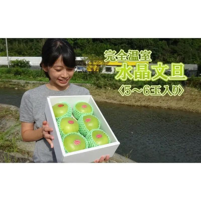 届いてすぐに食べられる 完熟 温室 水晶 文旦 5～6玉［1404-3］