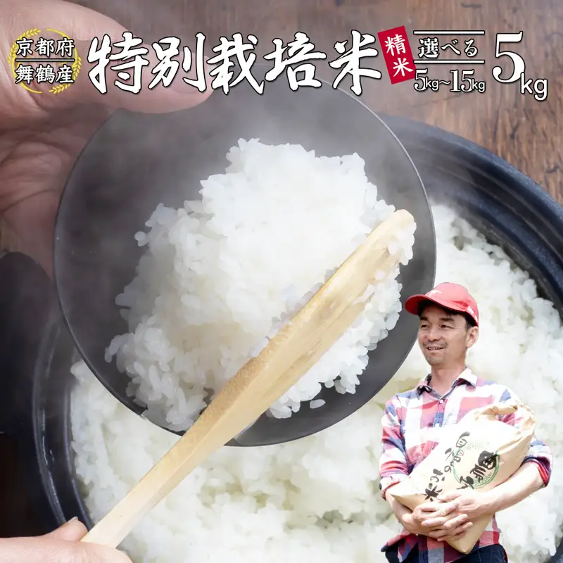 令和8年度産 新米 予約受付 棚田米 5kg 精米 コシヒカリ 特別栽培米 7割削減  白米