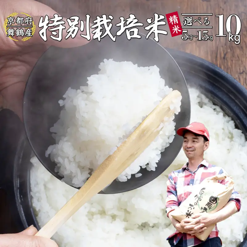 令和8年度産 新米 棚田米 10kg 精米 コシヒカリ 特別栽培米 7割削減  白米