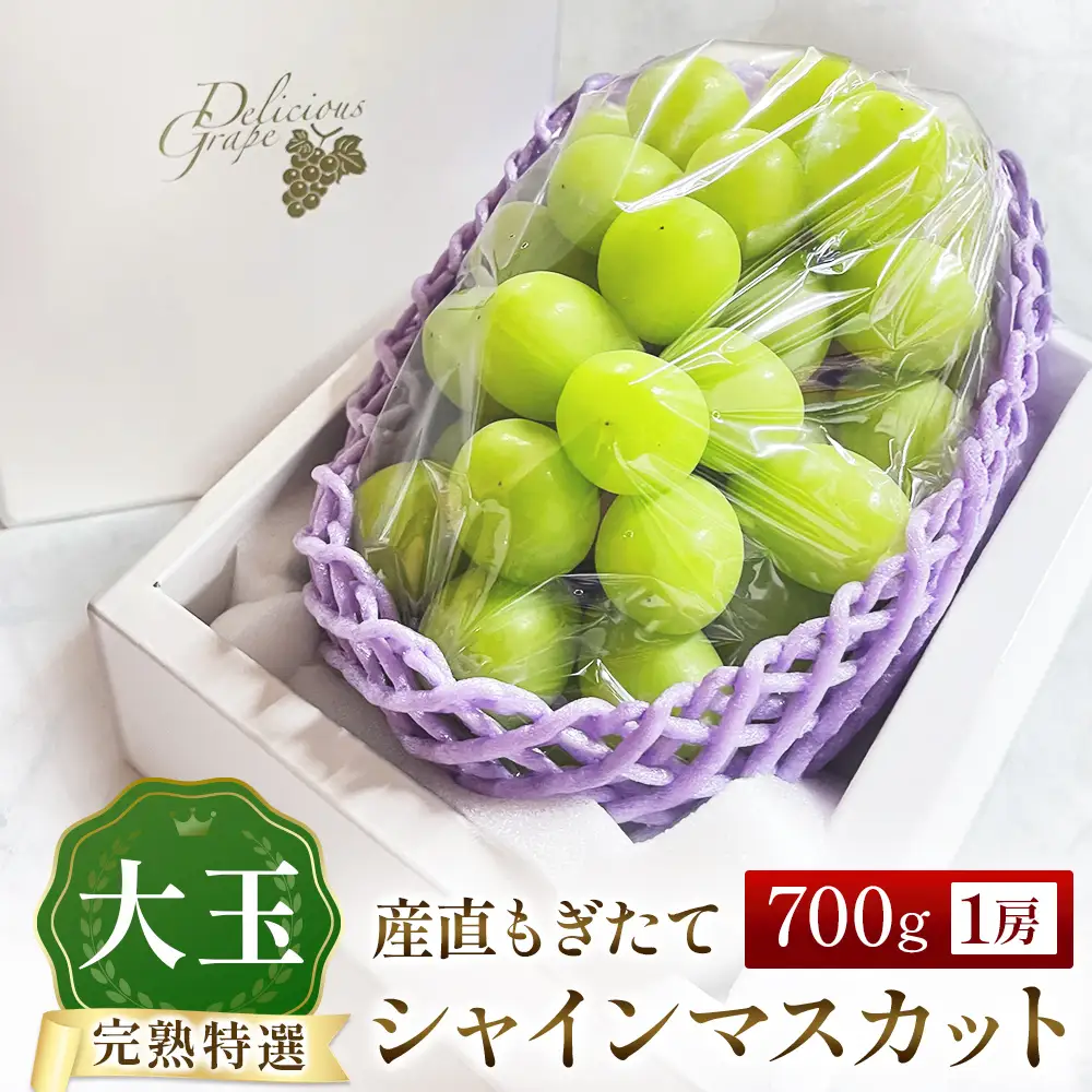 【産直もぎたて】大玉 シャインマスカット 700g（ぶどう ブドウ シャイン マスカット フルーツ 果物 くだもの 旬 2026 産地直送 限定） シャインマスカット シャインマスカット シャインマスカット シャインマスカット シャインマスカット