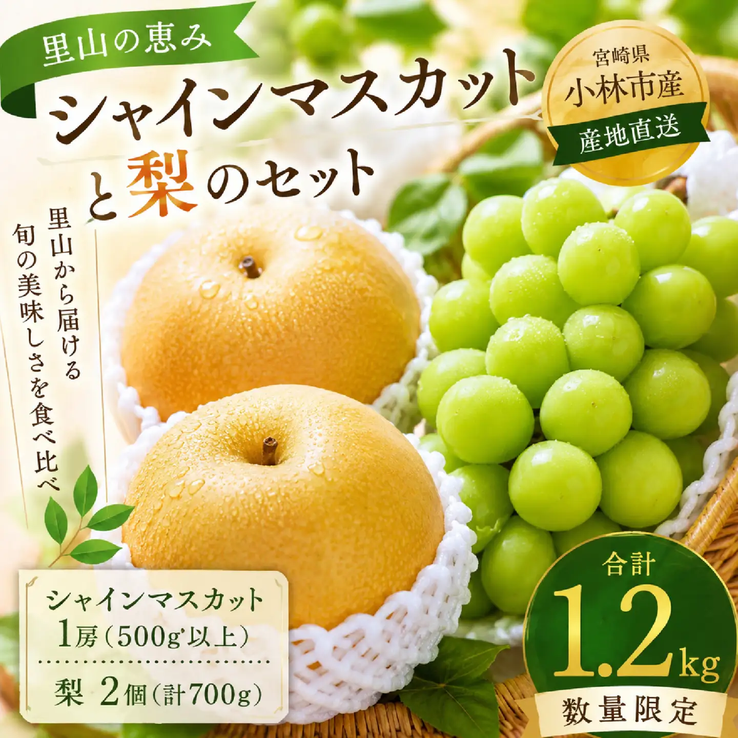 シャインマスカット と 梨 のセット計1.7kg 