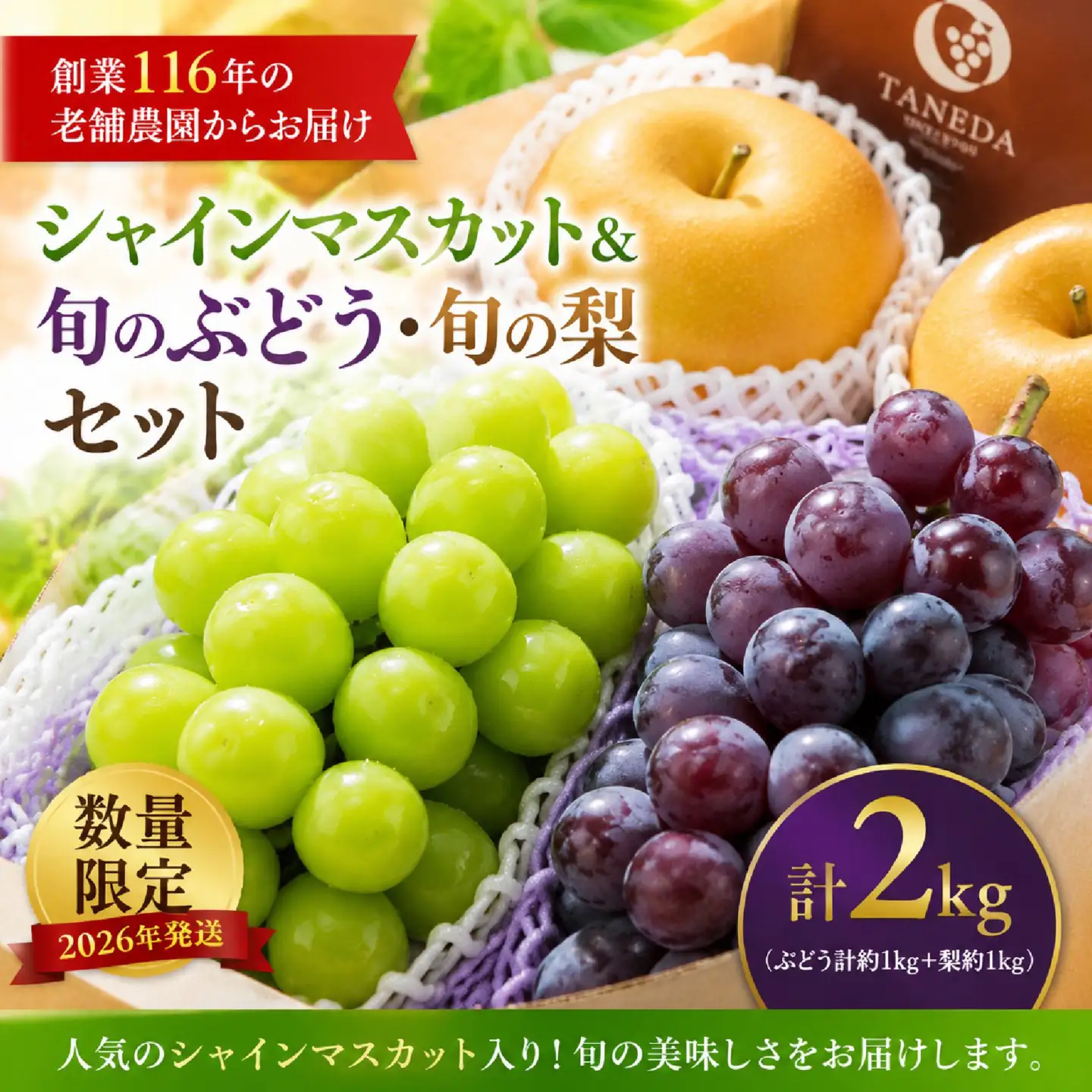 シャインマスカット 等と旬の梨セット計2kg