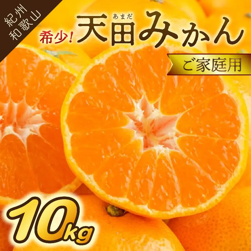 希少！天田みかん（紀州和歌山）ご家庭用10kg【0617-4】