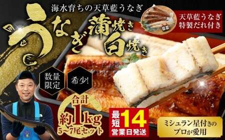 【ミシュラン星付きのプロが愛用】1日5セット限定！海水育ちの天草藍うなぎ 紅白5～7尾セット【合計約1kg】数量限定!! 鰻 ウナギ うなぎ うなぎ蒲焼 鰻の蒲焼 うなぎ 国産 白焼き 【2026年6月下旬より順次発送予定】
