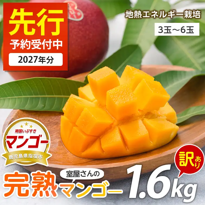 2027年発送 訳あり 完熟 マンゴー 約1.6kg 3～6玉 果物 IB016-002
