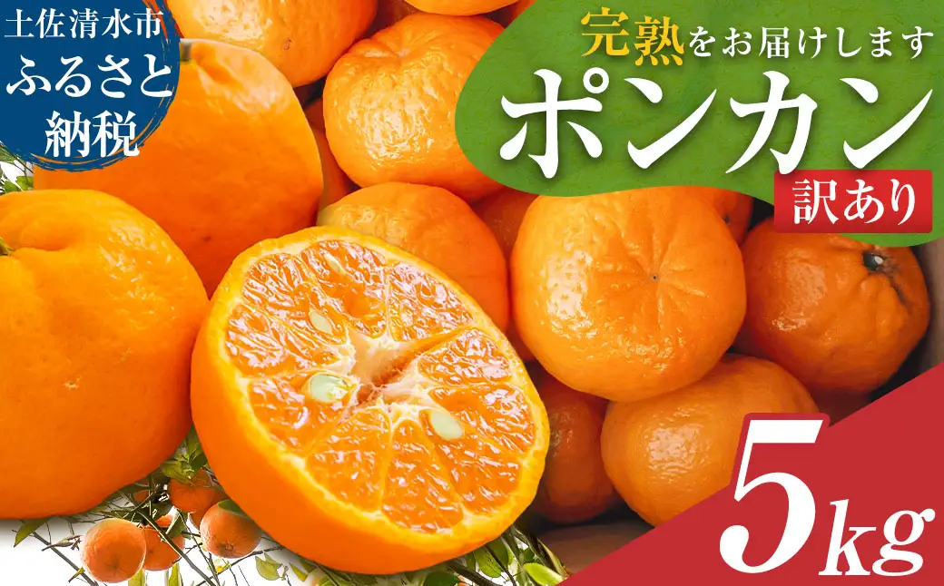ぽんかん 5kg ポンカン 令和9年1月下旬以降発送 訳あり 柑橘【ぽんかん】【R01080】