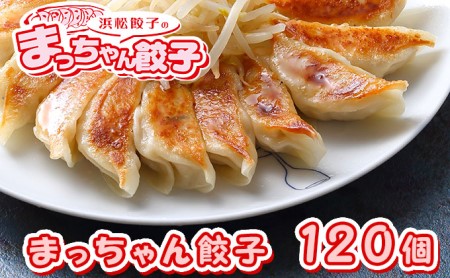 餃子 まっちゃん 120個 国産 冷凍 ぎょうざ 餃子