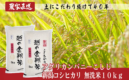 J8-7MN101F【越の金翔米】新潟県長岡産コシヒカリ無洗米10kg（特別栽培米）