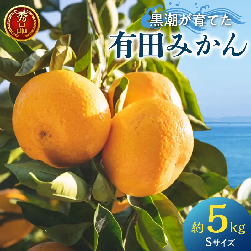 黒潮が育てた 有田みかん 約5kg (Sサイズ) 秀品_AE6105n
