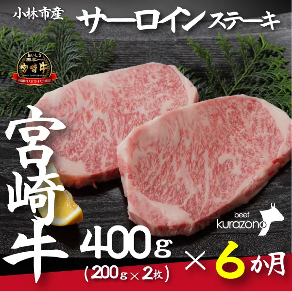 宮崎牛 【定期便・全6回】小林市産宮崎牛特選サーロインステーキ（200ｇ×２枚×6ヶ月）