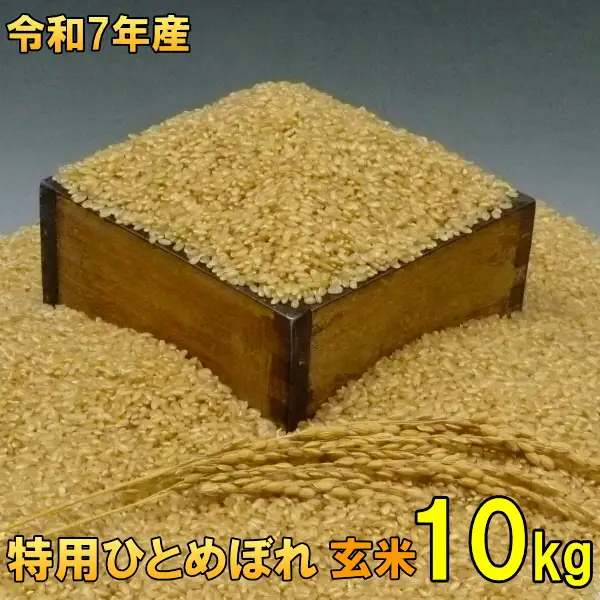 数量限定 令和7年産 岩手県奥州市産 特用ひとめぼれ 玄米 10kg 生活応援 緊急支援 [AC040]