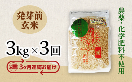 E1-H033B【3ヶ月連続お届け】新潟県長岡産コシヒカリ 発芽前玄米 3kg