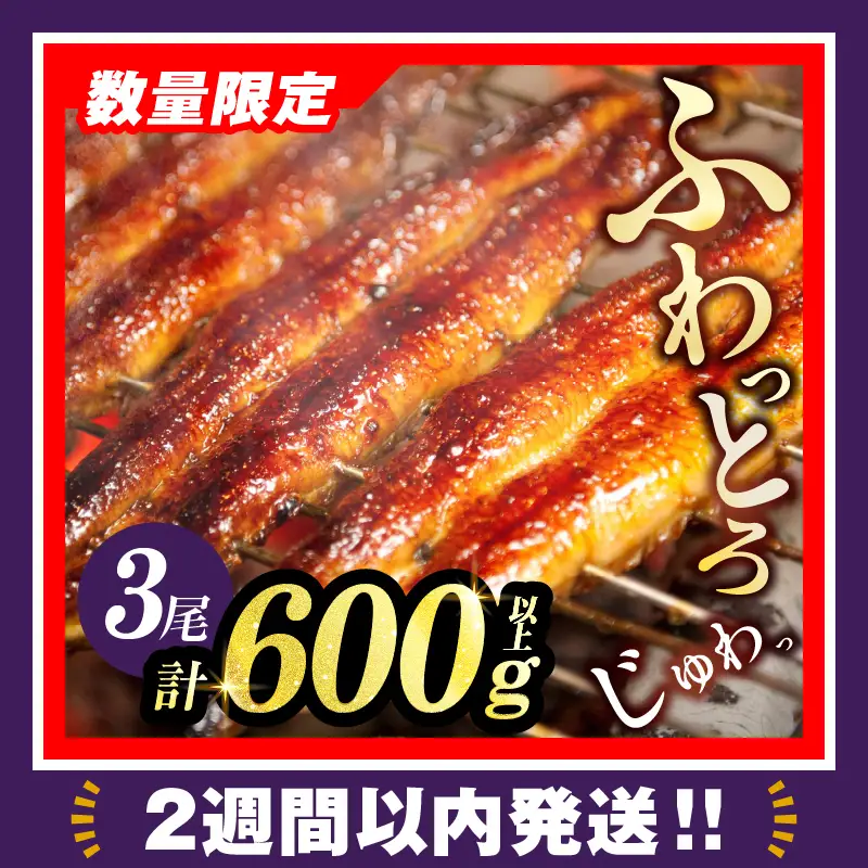 【夏の丑の日までにお届け!!】うなぎ蒲焼3尾(さんしょう・たれ付き)計600g以上 鰻 魚 魚介 加工品 国産_T026-0146-US2