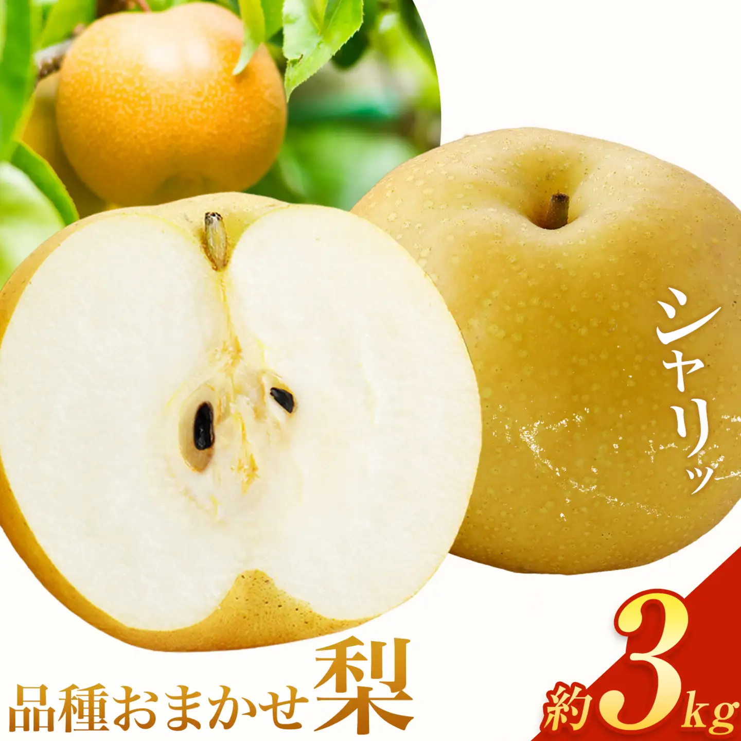 さつま町産 品種おまかせ 梨 3kg 市山梨花園《8月中旬-9月末頃出荷》鹿児島県 さつま町 果物 フルーツ なし ナシ-